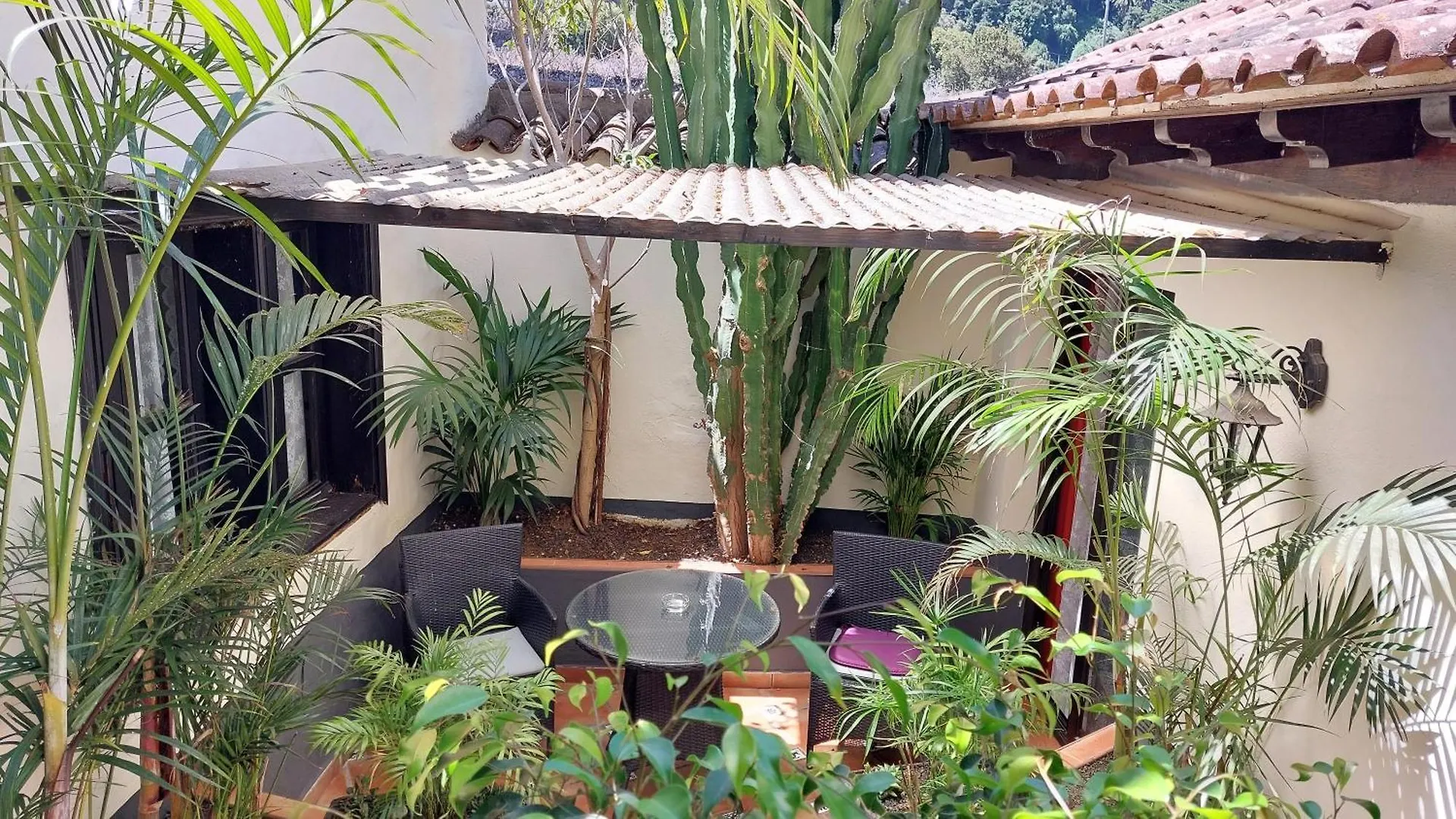 Apartamentos Monasterio De San Antonio - Adults Only Icod De Los Vinos 0*,